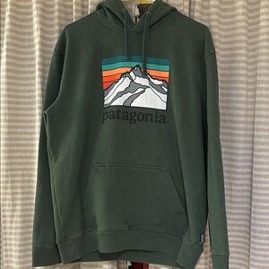 Patagonia Men's Green Hoodie